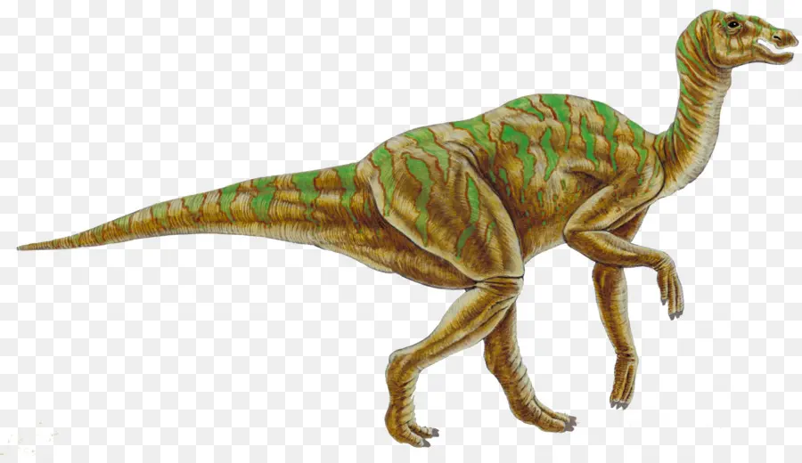 Dinosaurio De Cuello Largo，Prehistórico PNG