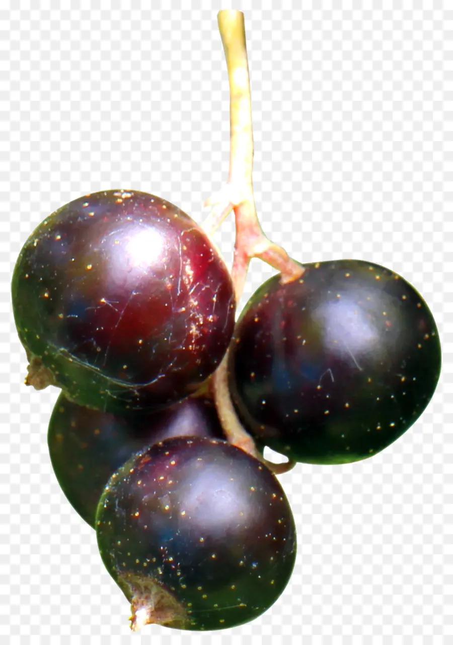 Grosella Negra，Frutti Di Bosco PNG