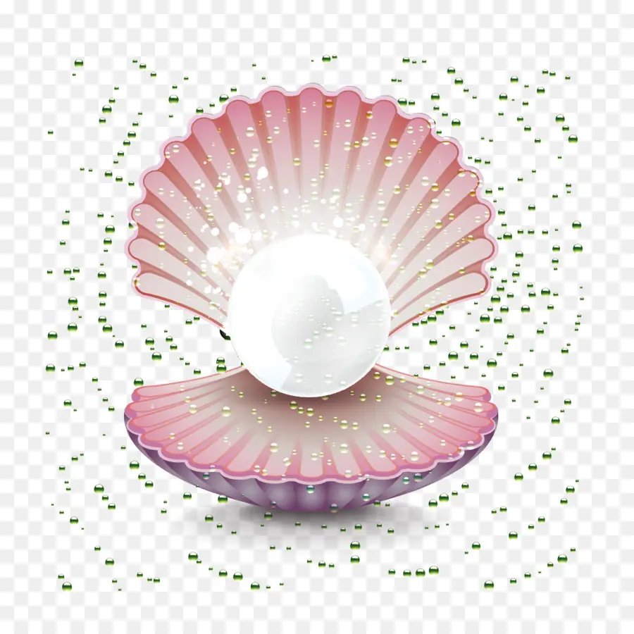 Ostras，Perla PNG