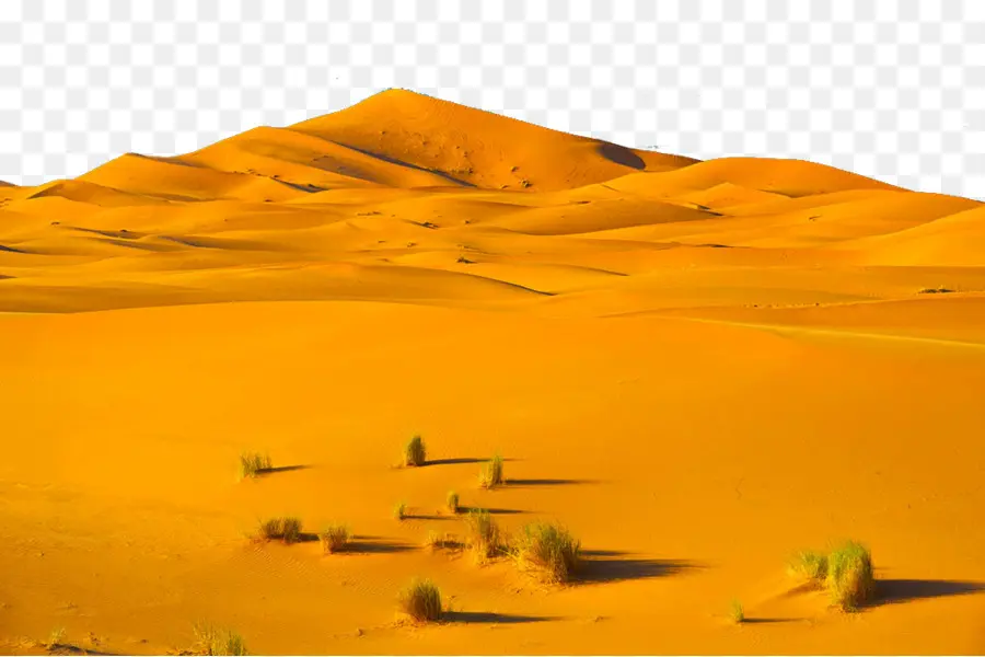 Sahara，Descargar PNG