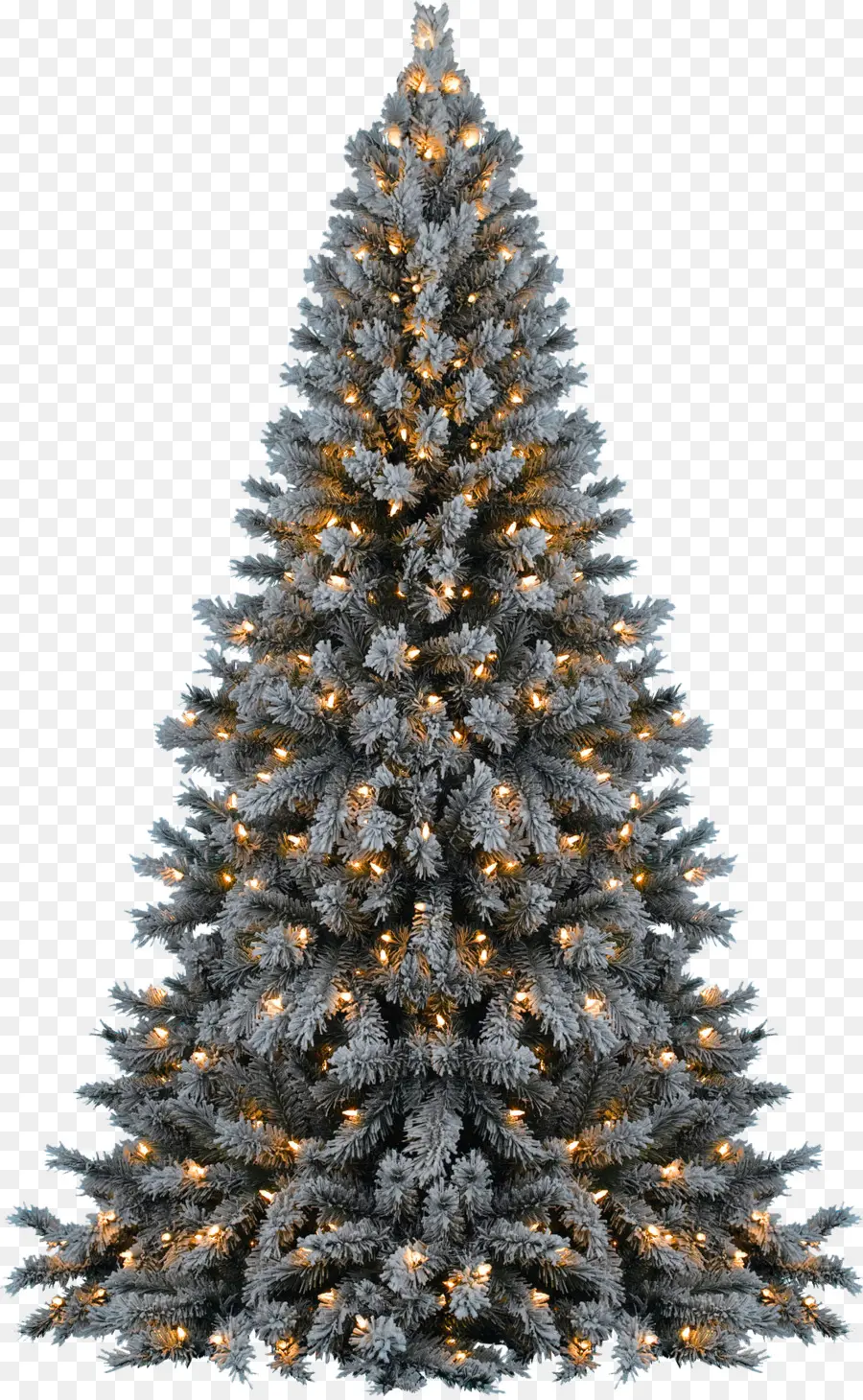 árbol De Navidad，La Navidad PNG