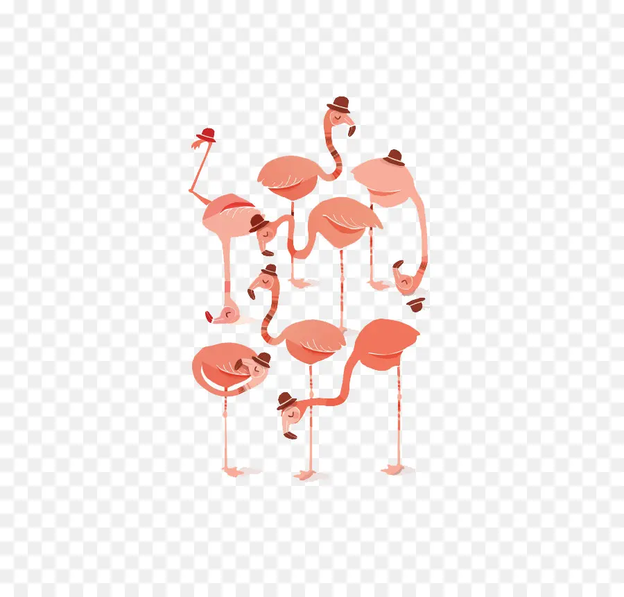 Flamingo，Dibujo PNG