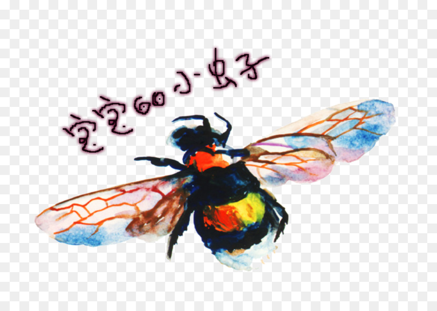 Abeja，Vistoso PNG