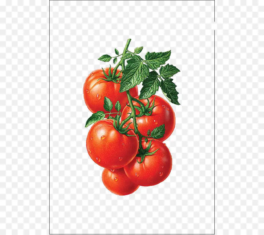 Jugo，El Jugo De Tomate PNG