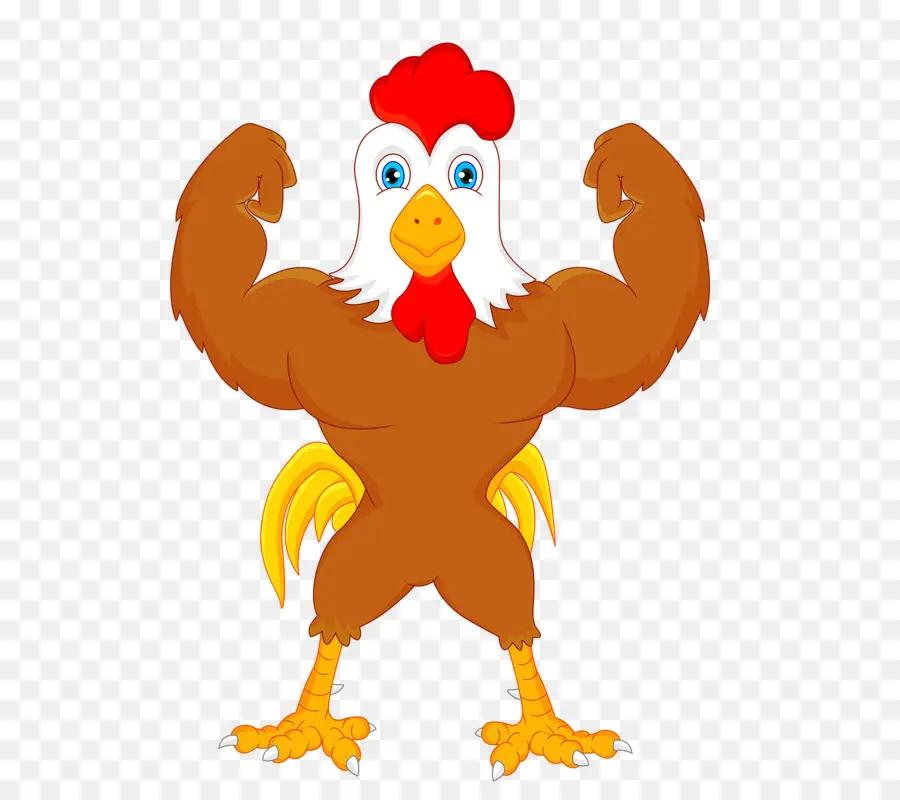 Pollo，De Dibujos Animados PNG