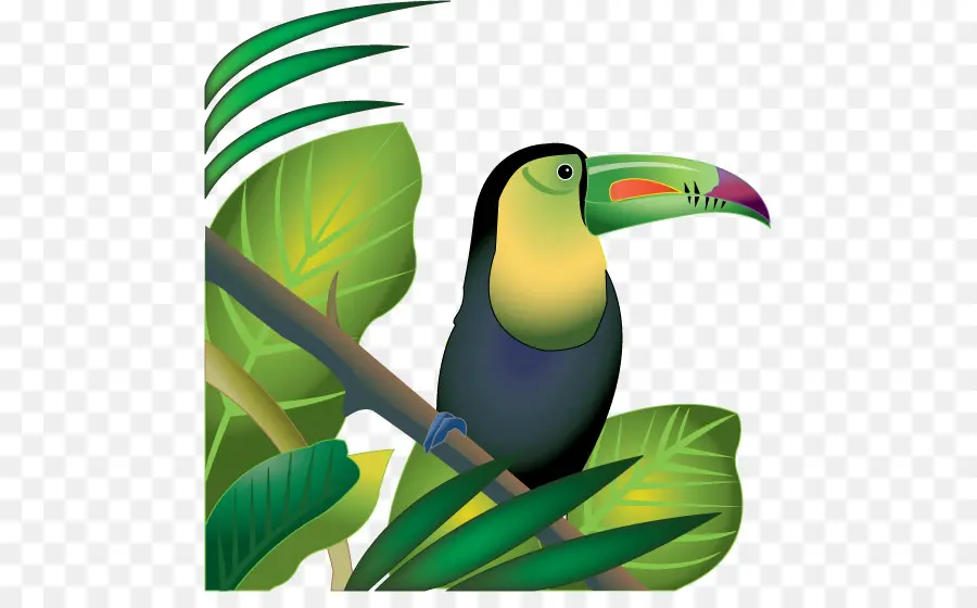 La Selva Amazónica，La Selva PNG