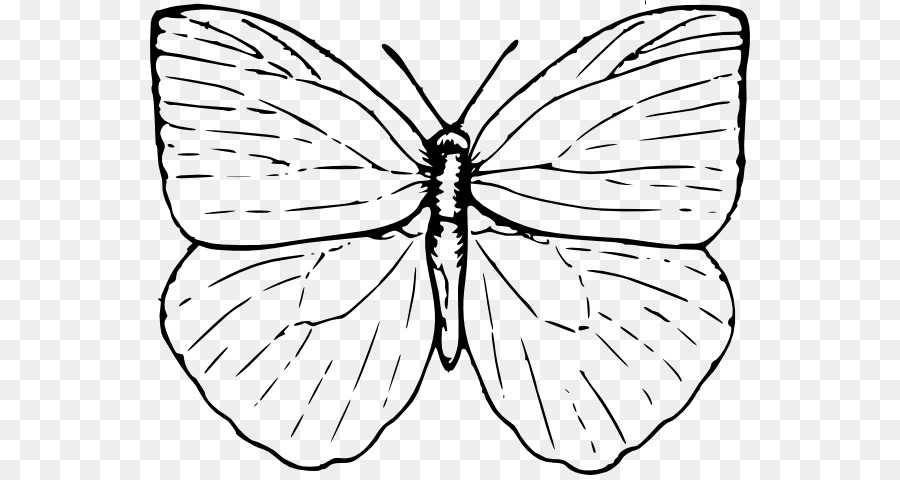 Mariposa，Dibujo PNG