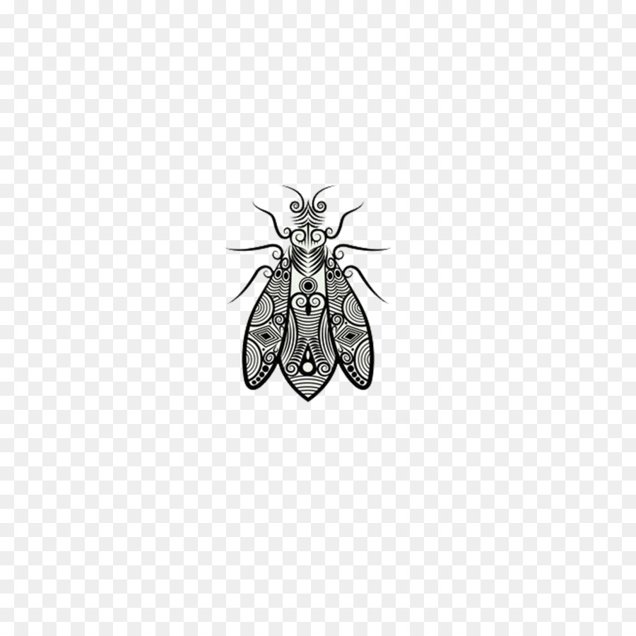 Insecto Intrincado，Detallado PNG