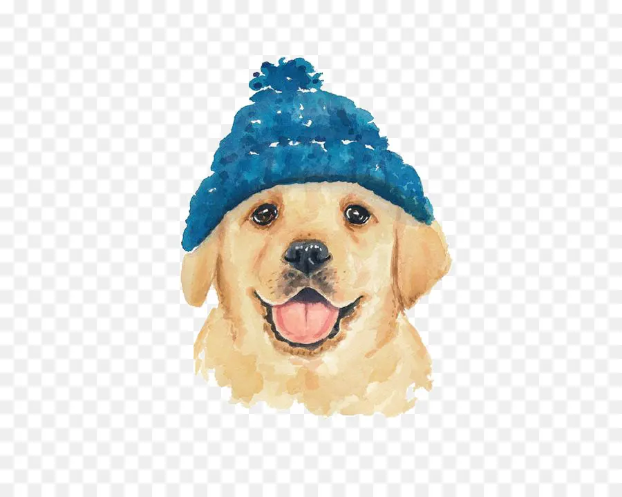 Perro，Dibujo PNG