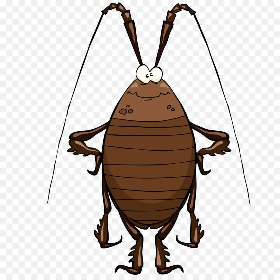 Cucaracha，De Dibujos Animados PNG
