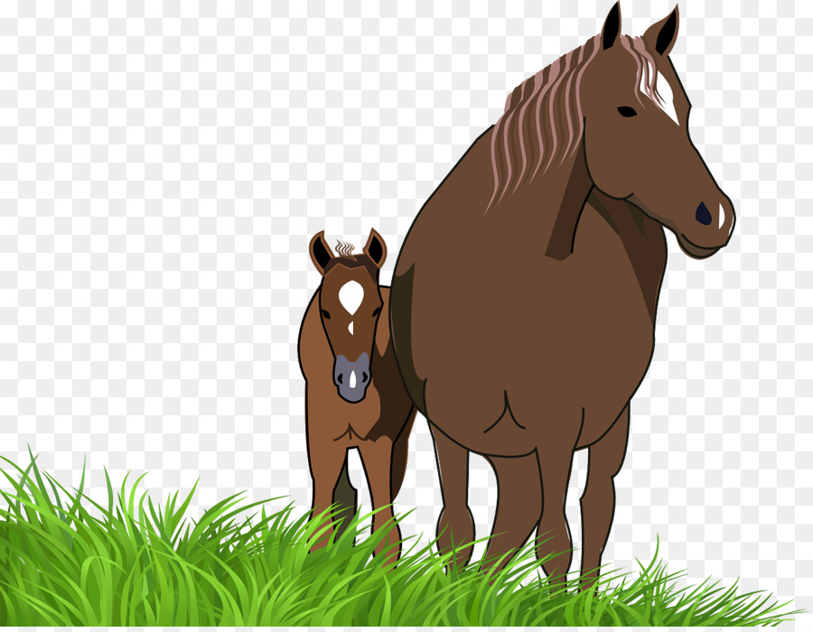 Caballos Marrones，Potro PNG