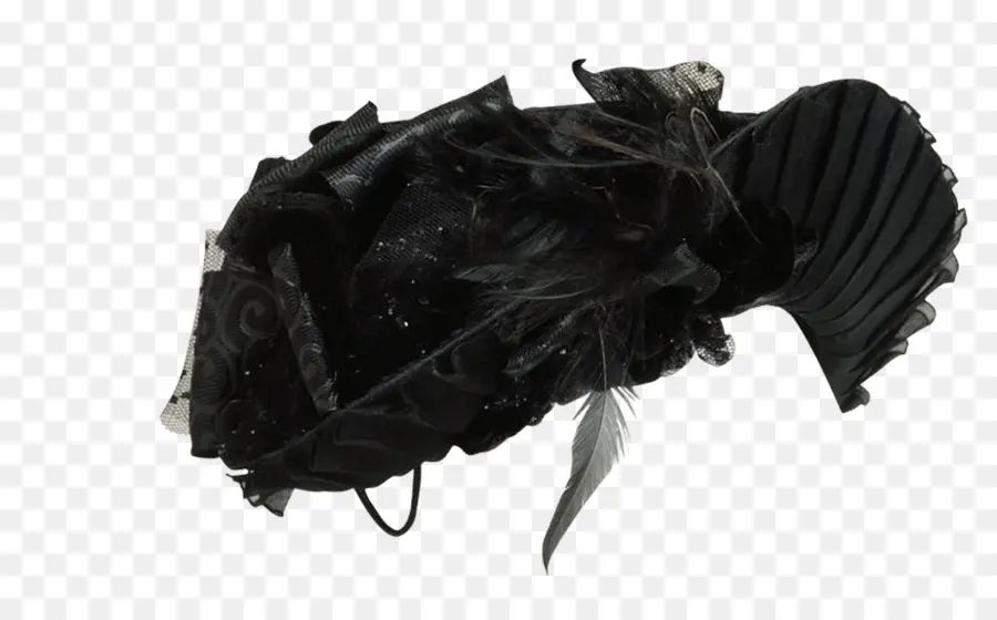 Sombrero Negro，Pluma PNG