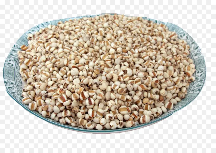 Adlay，Arroz PNG