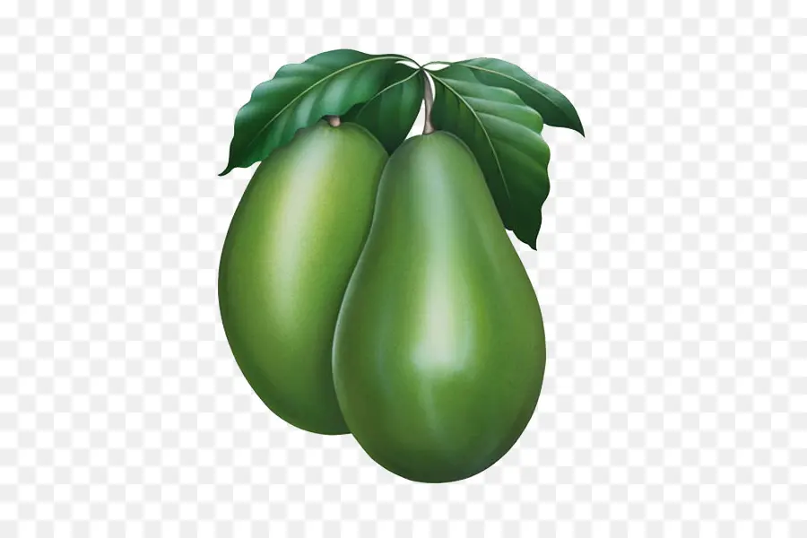 Palta，Verde PNG