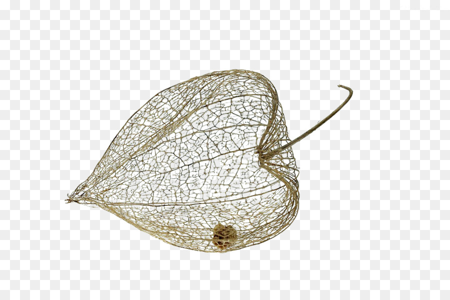 Peruano Groundcherry，La Fruta PNG