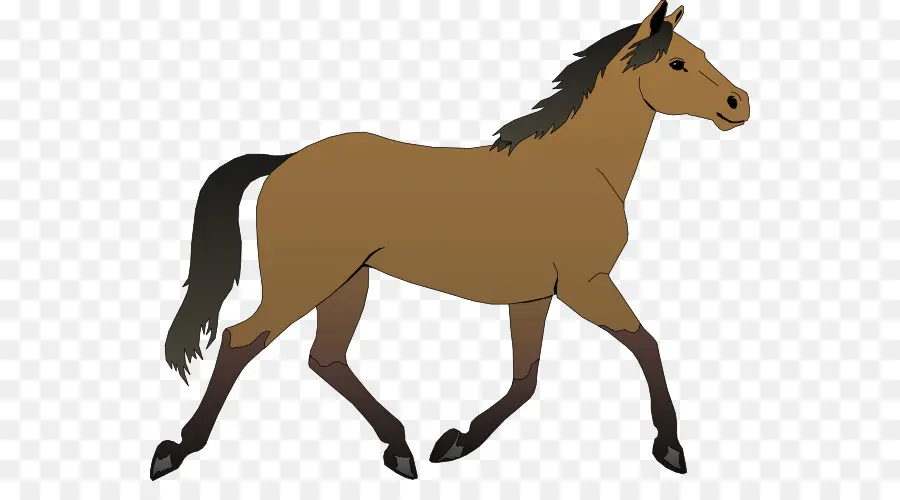 Caballo，Potro PNG