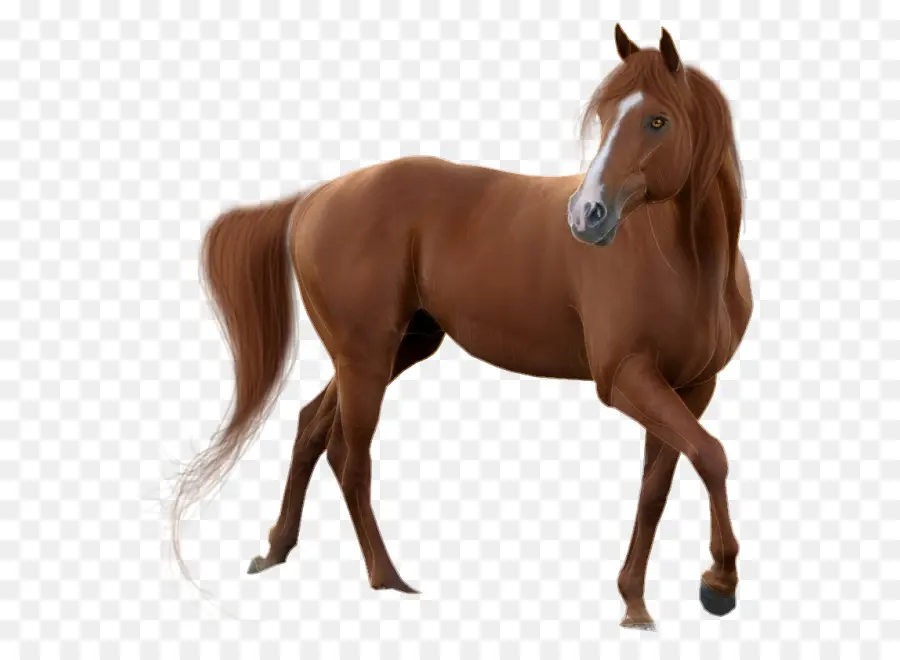 Caballo，Pixel PNG