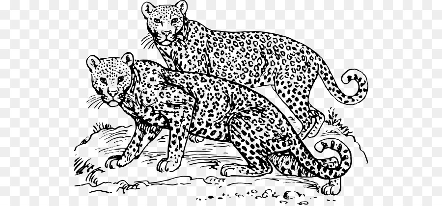 Guepardo，Leopardo Del Amur PNG