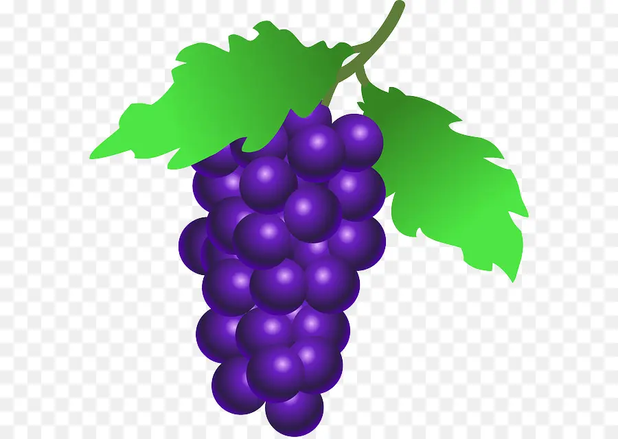 Uvas Moradas，Enredadera PNG