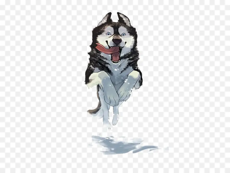 Husky Emocionado，Perro PNG