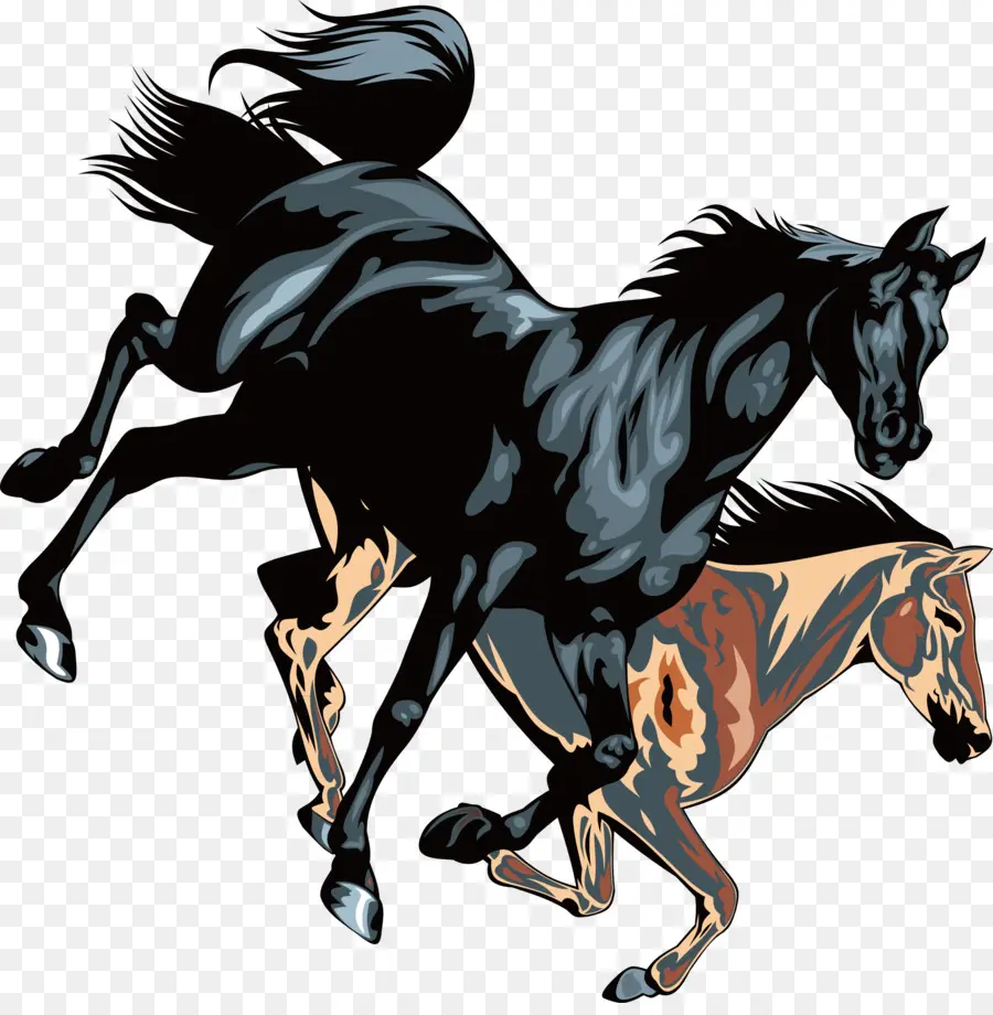 Caballos Corriendo，Caballos PNG