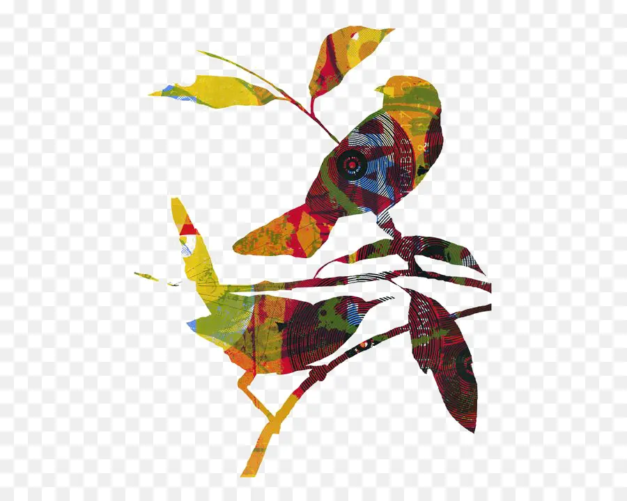 Pájaro，Papel PNG