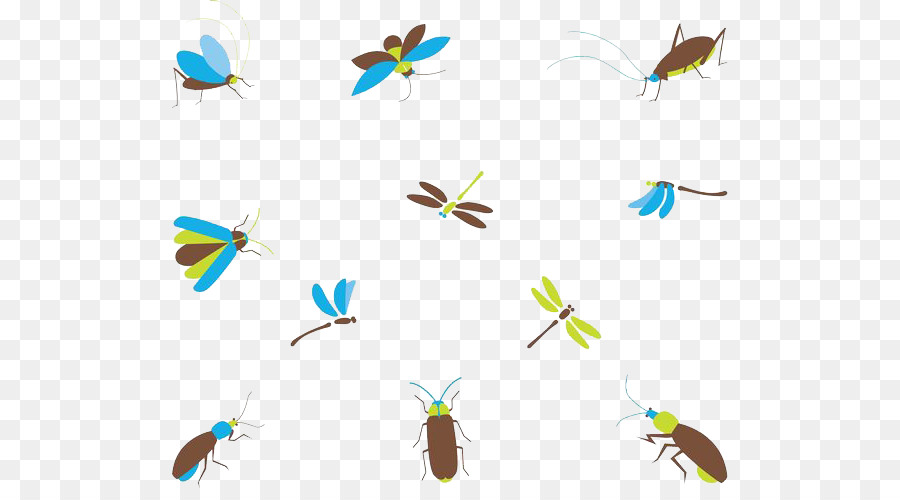 Insectos，Vuelo PNG