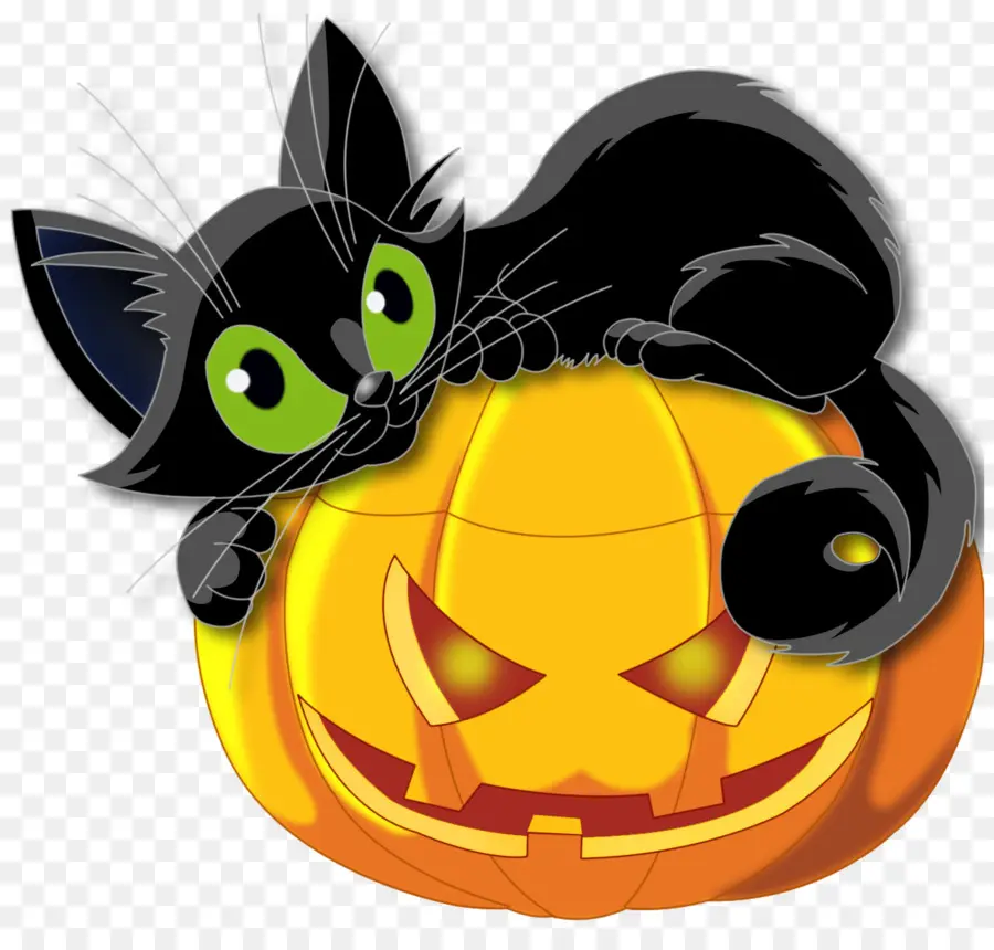 Gato，Halloween PNG