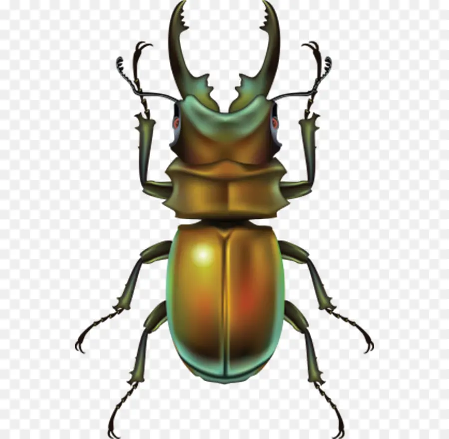 Escarabajo，Pixel PNG