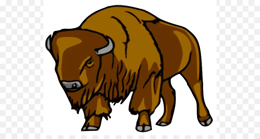 Bisonte，Búfalo PNG