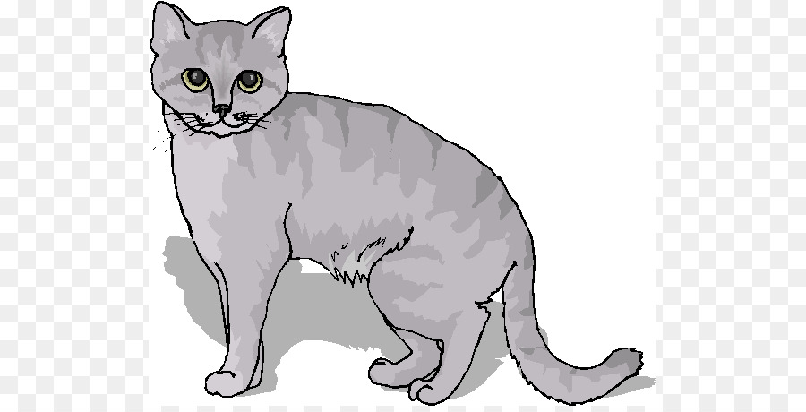 Gato Birmano，Manx Cat PNG