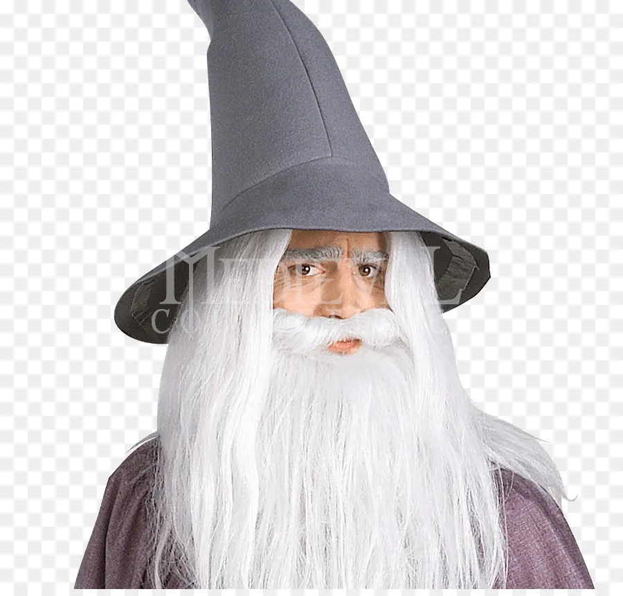 Gandalf，El Señor De Los Anillos PNG