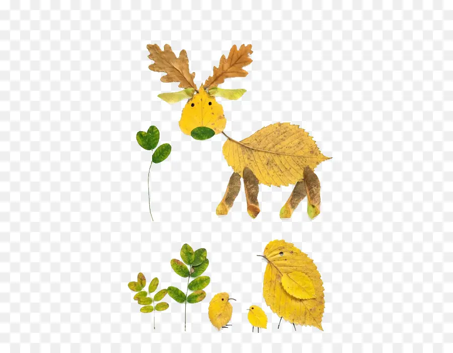 Animales De Hoja，Hojas PNG