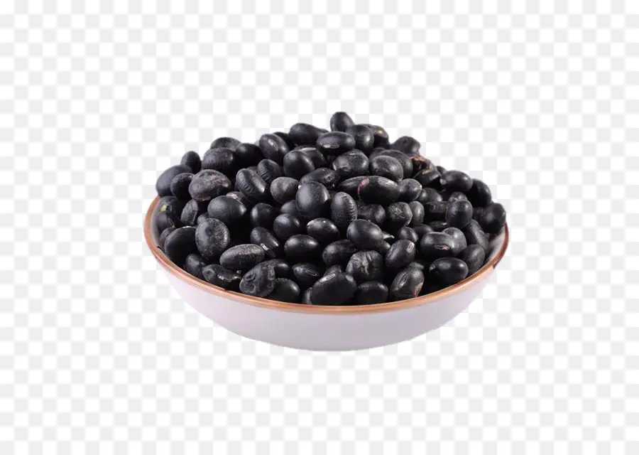 Tortuga Negra Bean，Bean PNG