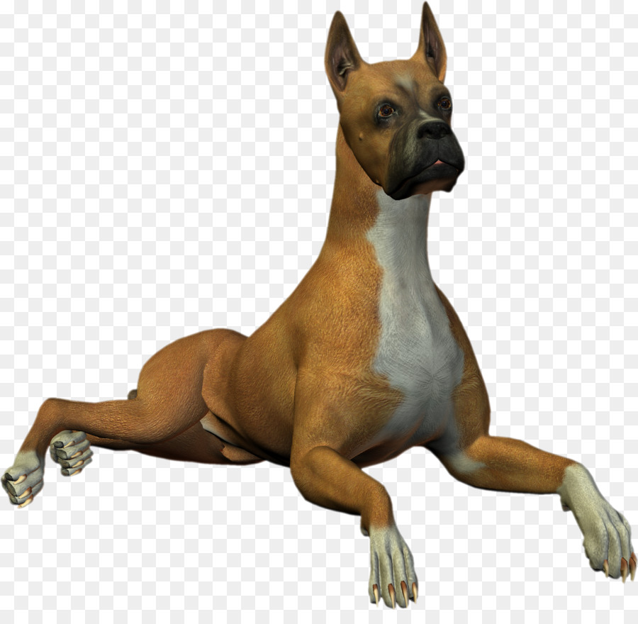 Perro Boxer，Mascota PNG