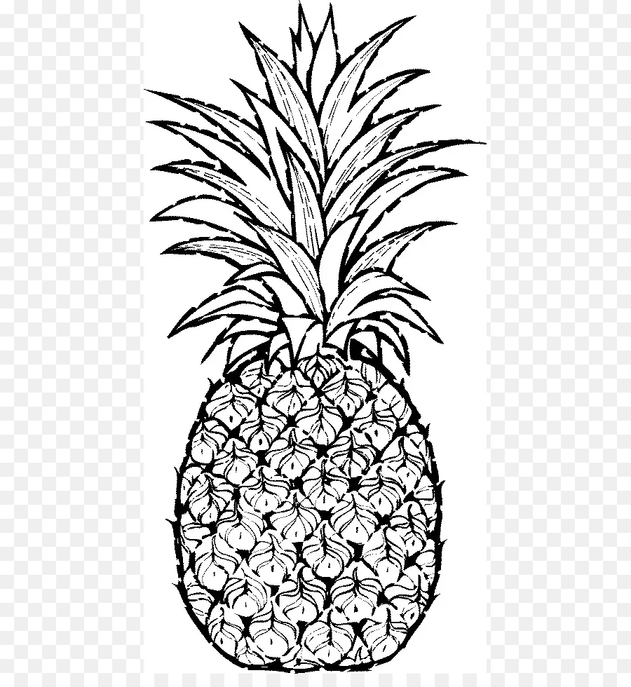 Piña，Detallado PNG