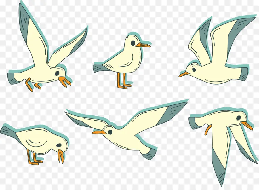 Gaviota，Vuelo PNG