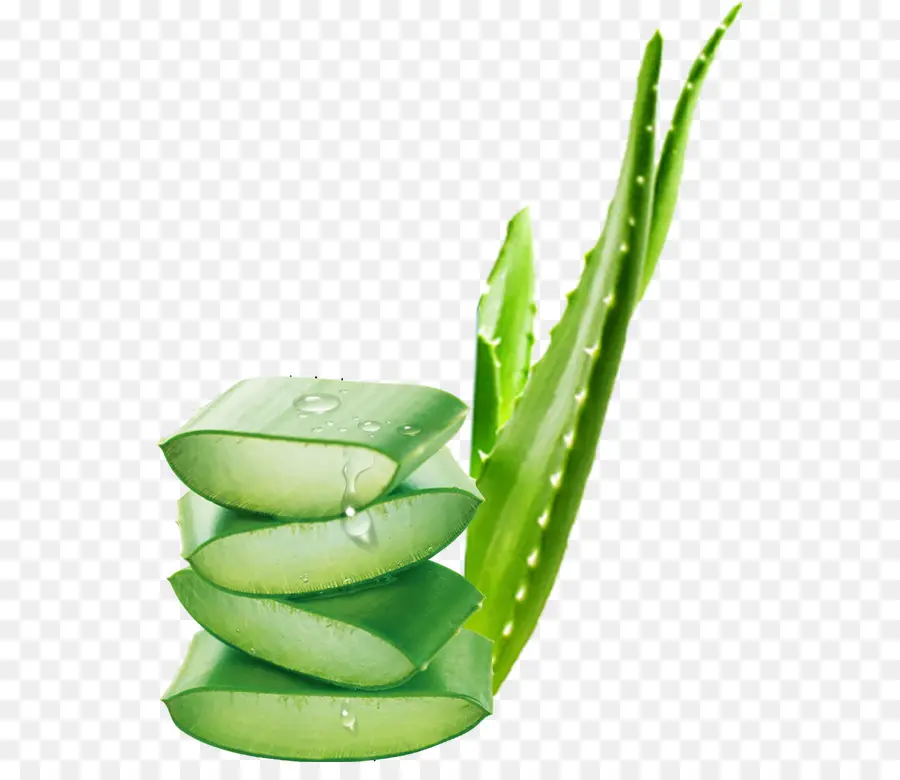 Aloe Vera，Gel PNG