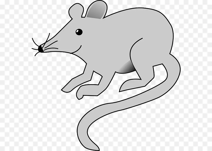 Ratón，Ratón De Computadora PNG