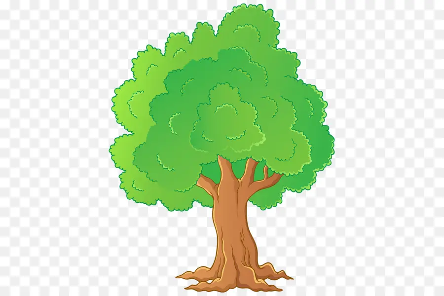 árbol，Color PNG