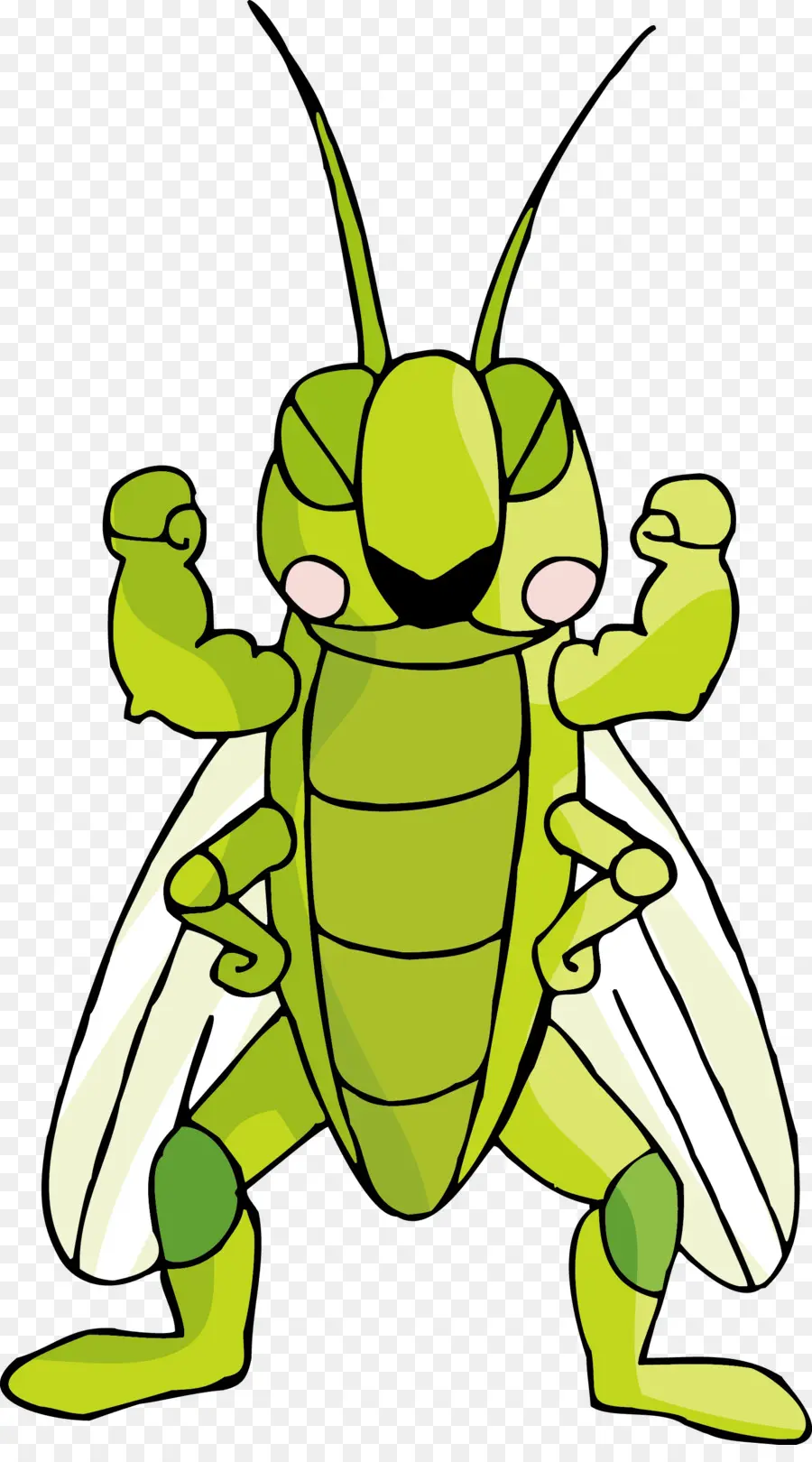 Los Insectos，De Dibujos Animados PNG