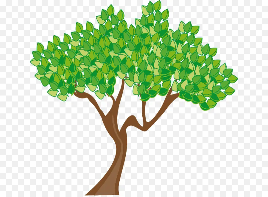 Verano，árbol PNG