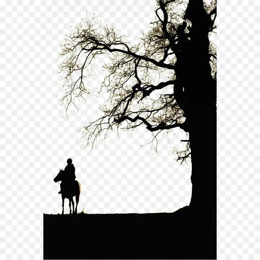 Jinete Del Caballo，Árbol PNG