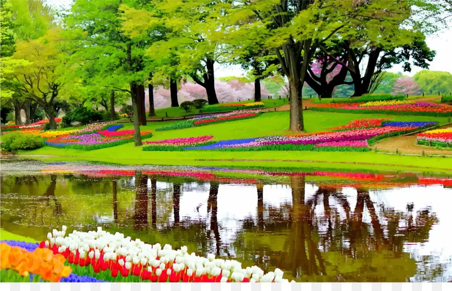 Keukenhof，Jardín PNG