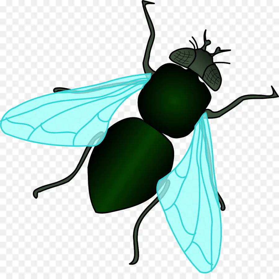Volar，Mosca PNG