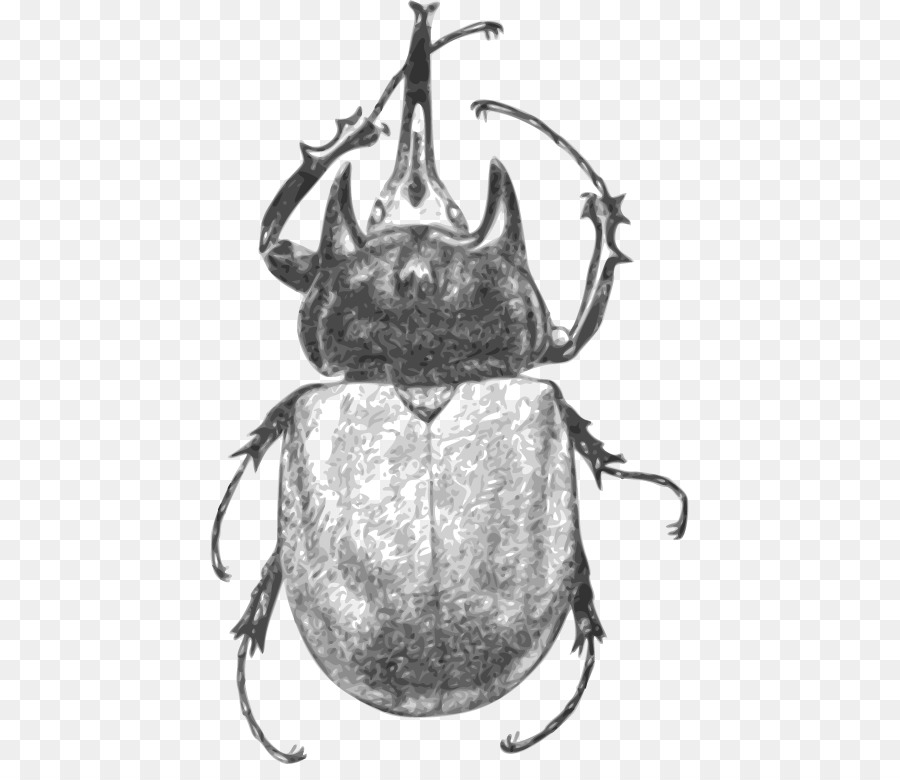Escarabajo，Monocromo PNG