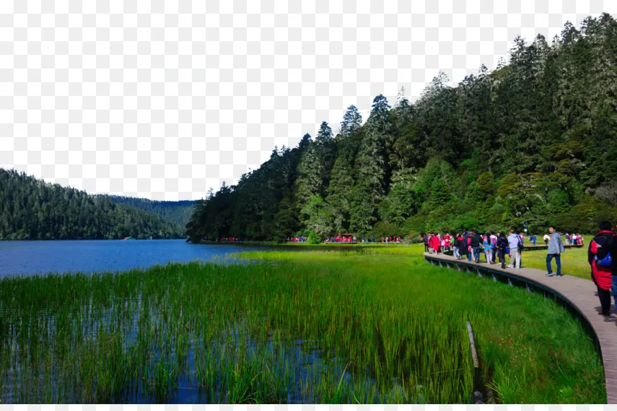 Lago Y Bosque，Gente PNG