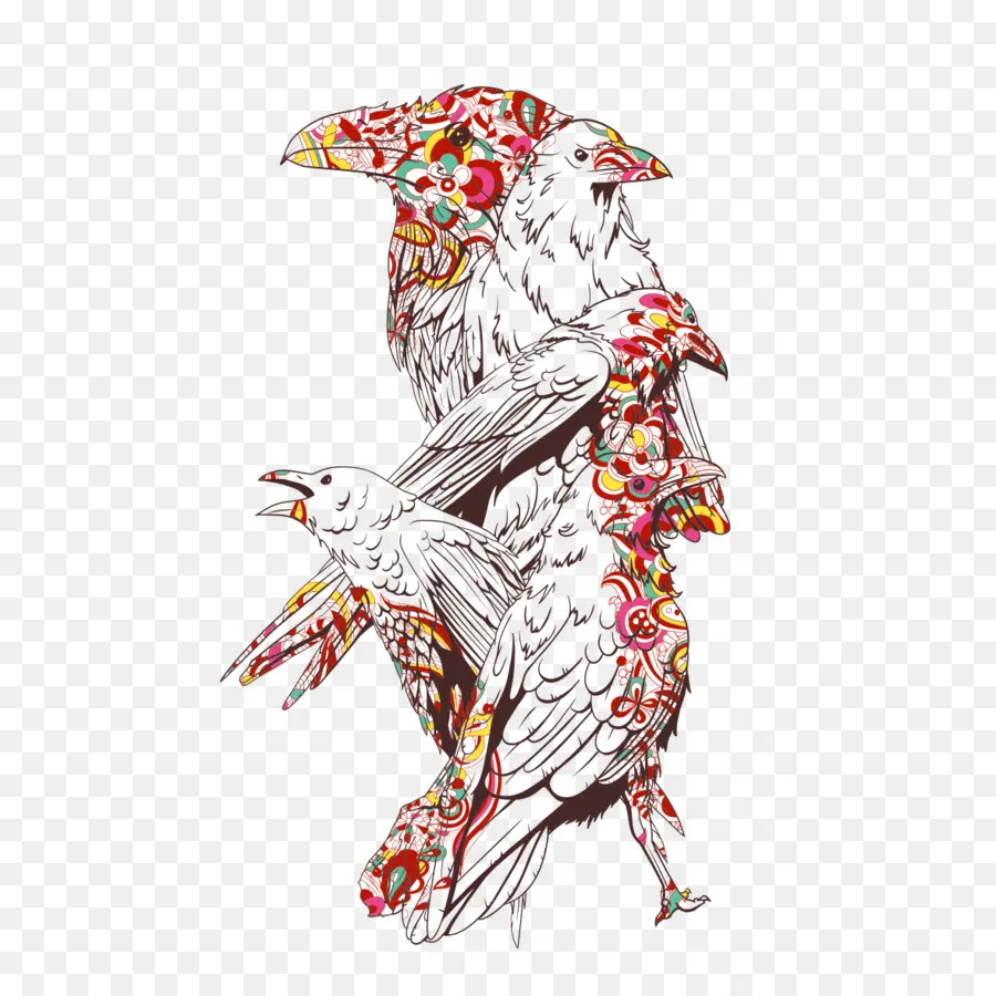 Pájaros Coloridos，Arte PNG