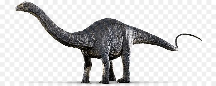 Jurassic Evolución En El Mundo，Apatosauro PNG