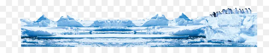 Iceberg，Penguin PNG